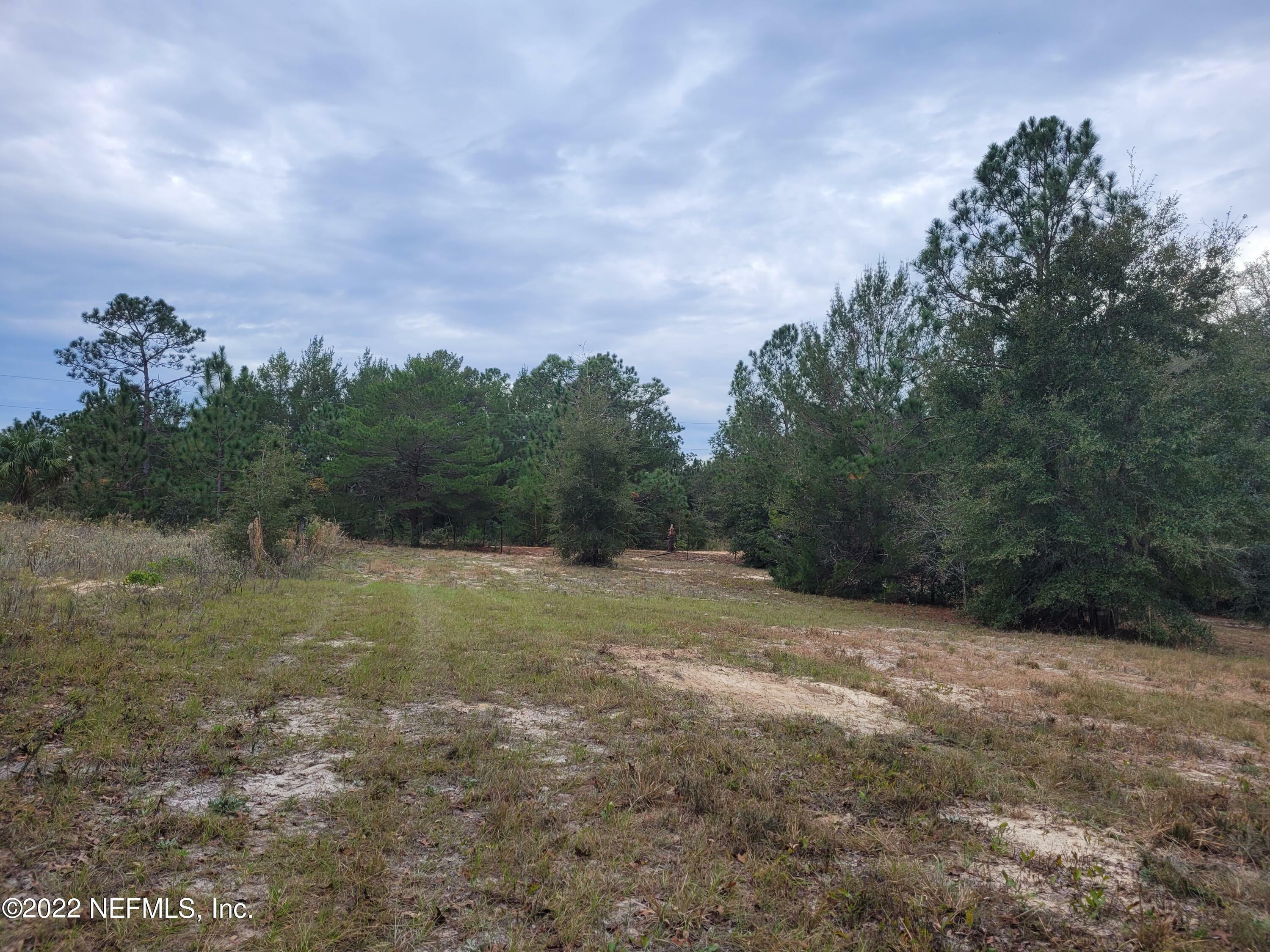 Property Photo: 0 Cherry Drive FL 32181