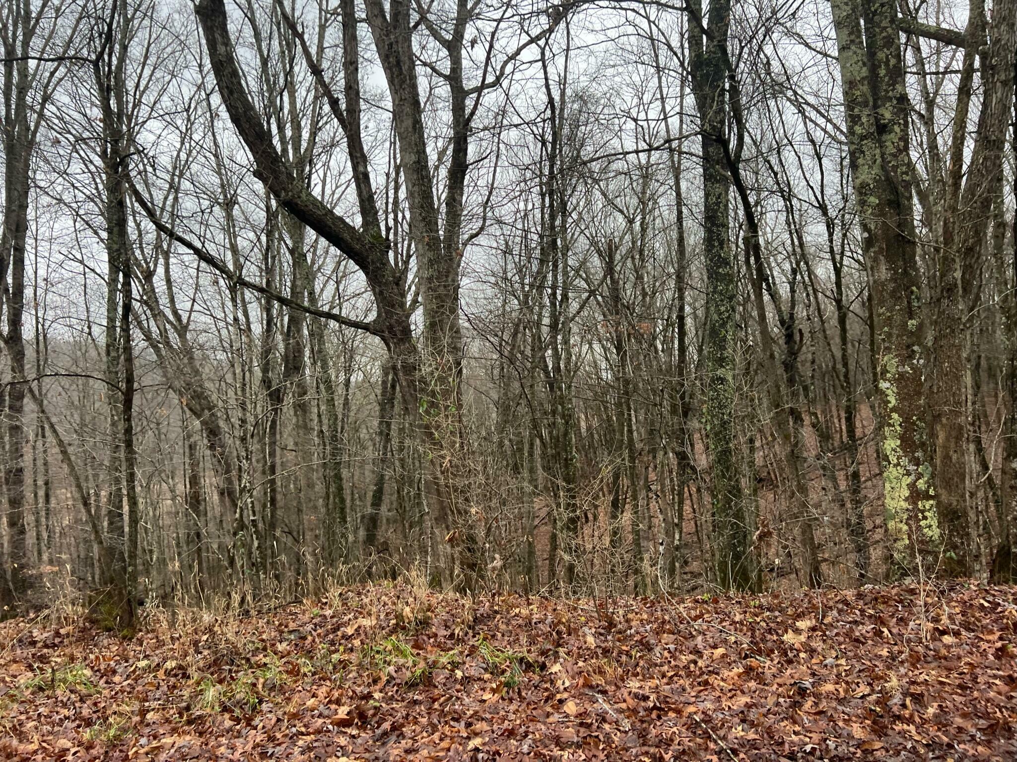 Property Photo:  0 Wildcat Hill Rd.  WV 24941 