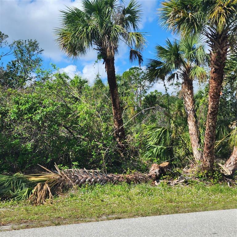 Property Photo:  339 Barger Drive  FL 33954 