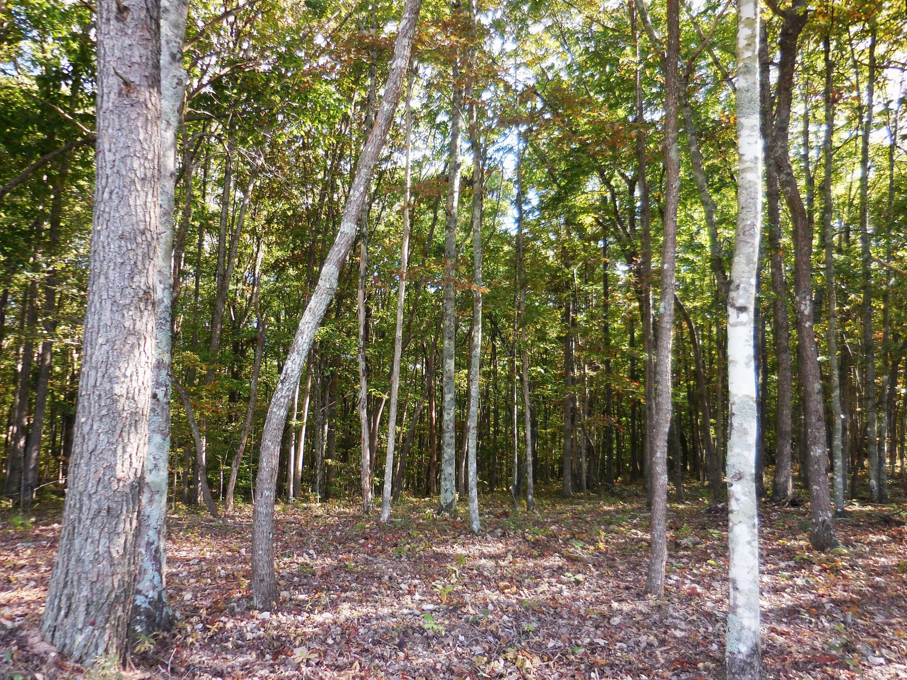 Property Photo:  Lot 29 Grapevine Road  TN 37367 