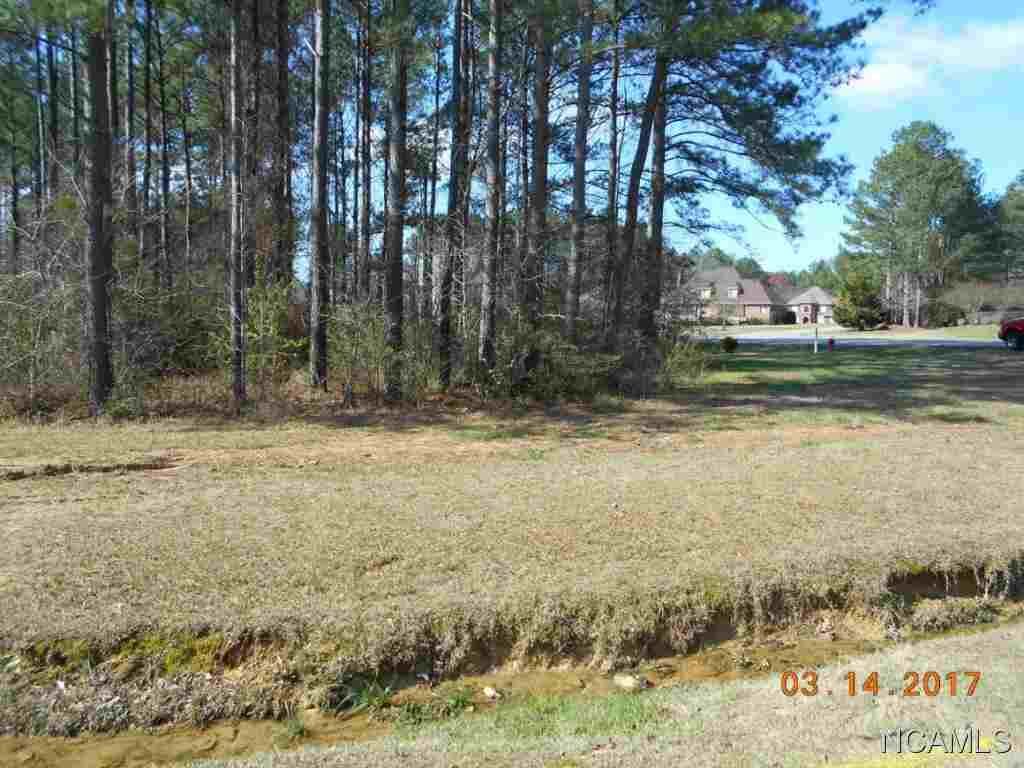 Property Photo:  Lot 26 Montcrest  AL 35057 - CULLMAN 