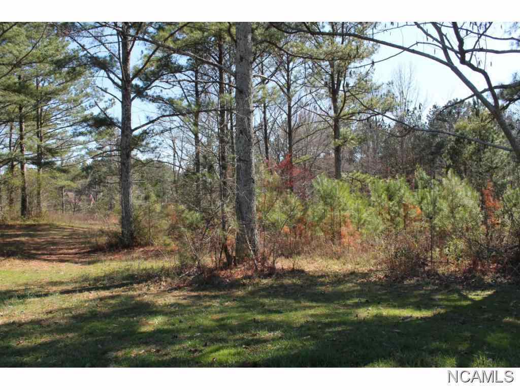 Property Photo:  Lot 68 Montcrest  AL 35057 - CULLMAN 