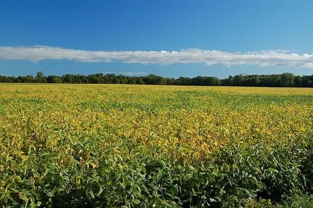 Property Photo: 00 N County Road 700 W IN 46058