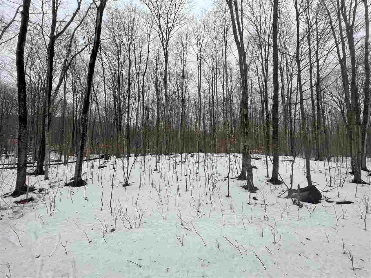 Property Photo:  Tbd Terpering  MI 49740 