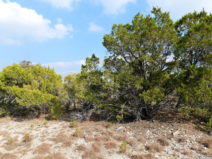 Property Photo: Lot 13 Johnson Road TX 78063
