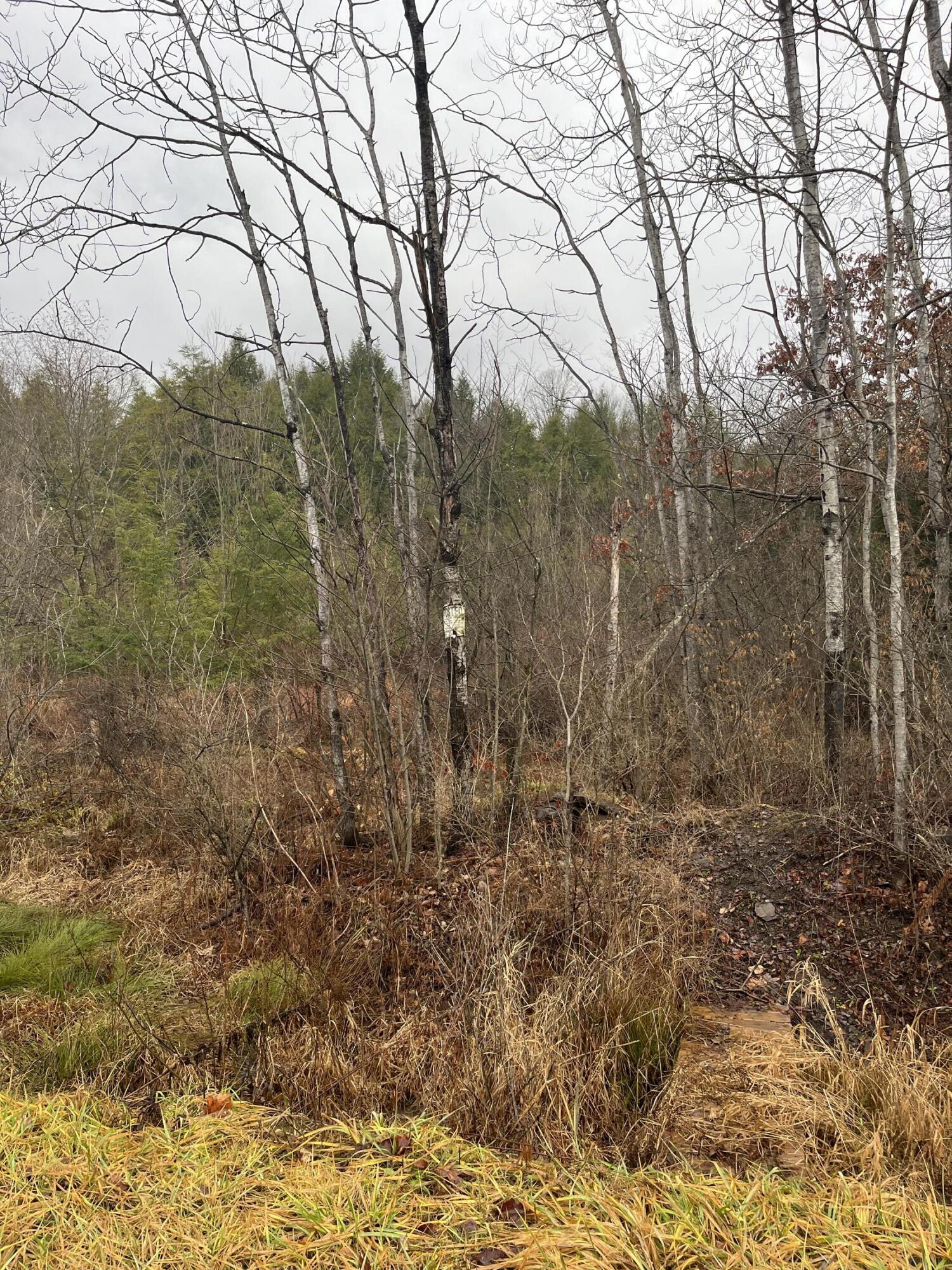 Property Photo: Route 950 PA 15840