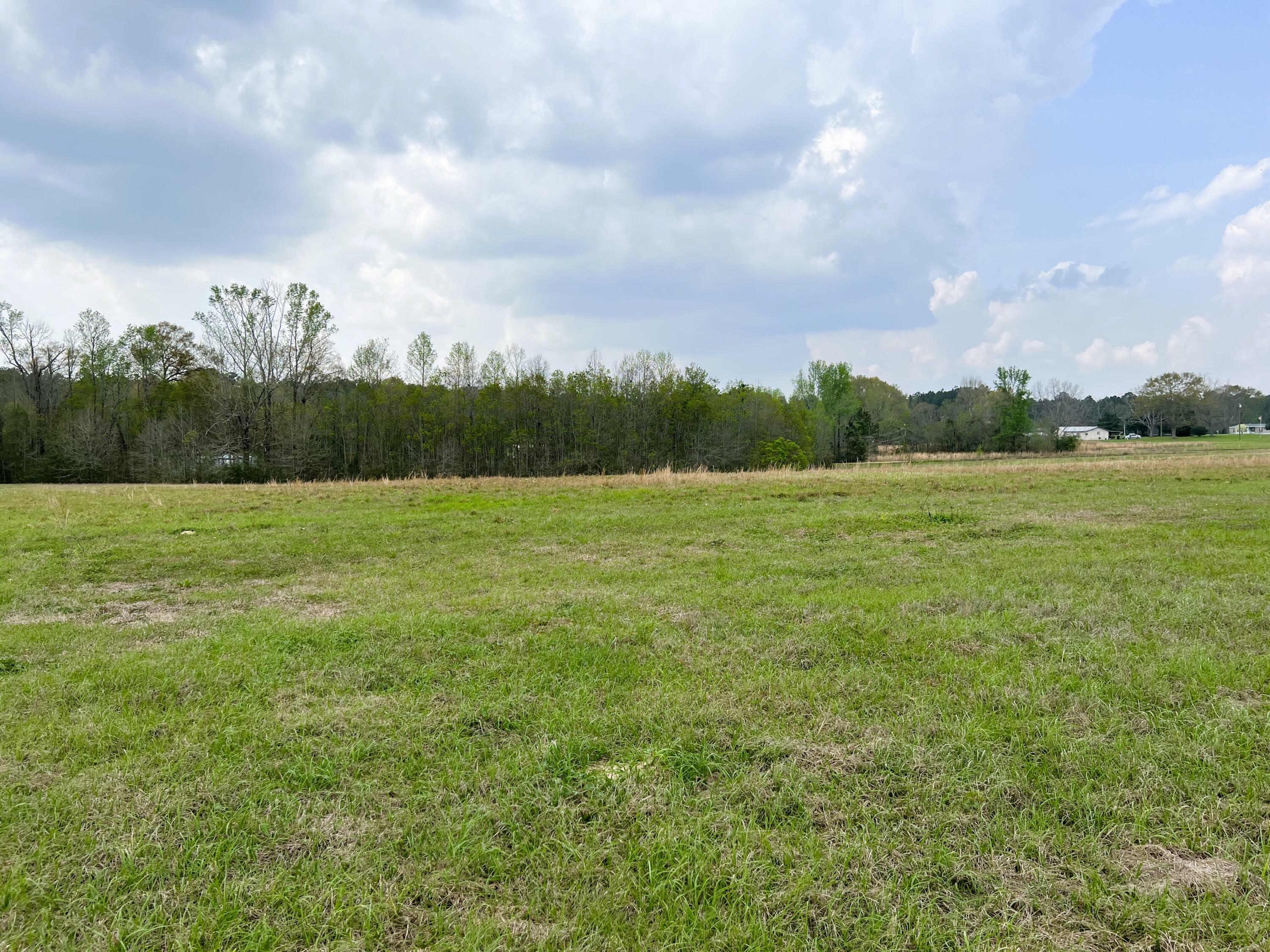 Property Photo:  279 Arthur Lowe Rd.  MS 39455 