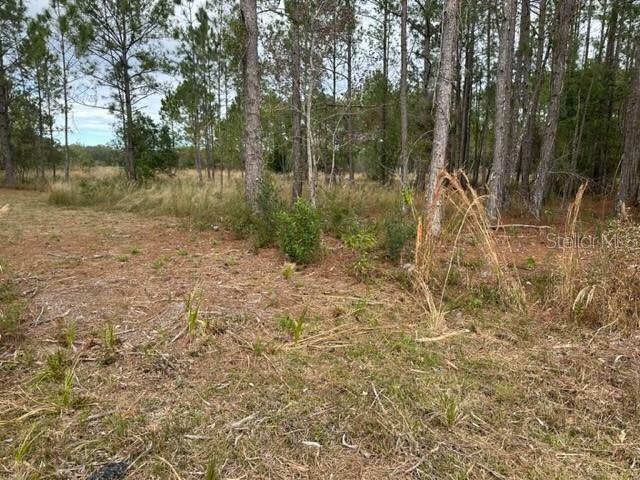 Property Photo:  Otter Drive Lot 0580  FL 33597 