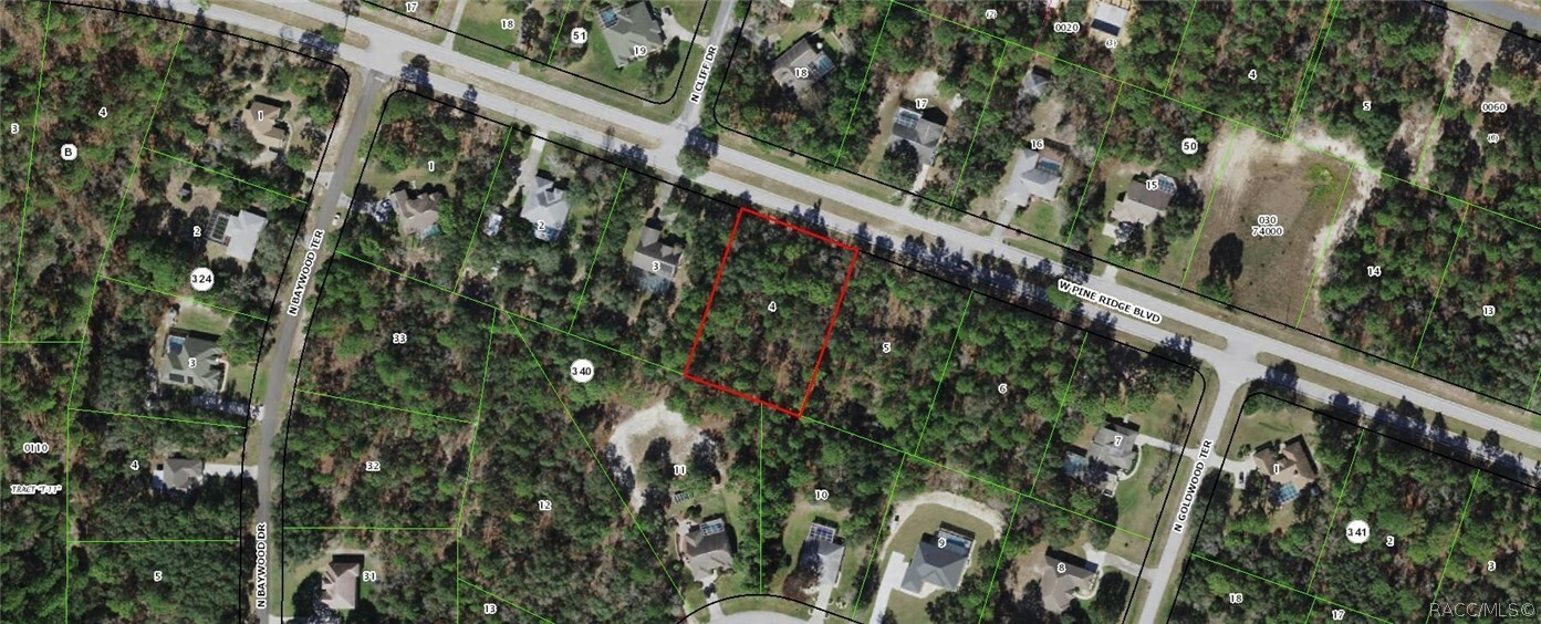 Property Photo:  2756 W Pine Ridge Boulevard  FL 34465 