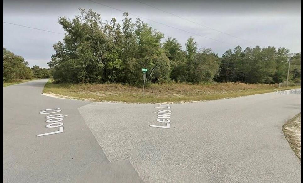 Property Photo: 33443 Lewis Lane FL 33597