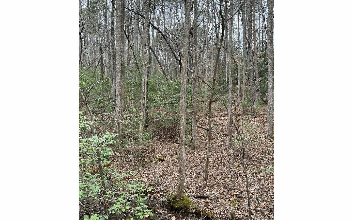 Property Photo:  Jesses Run - Lot 36  GA 30536 