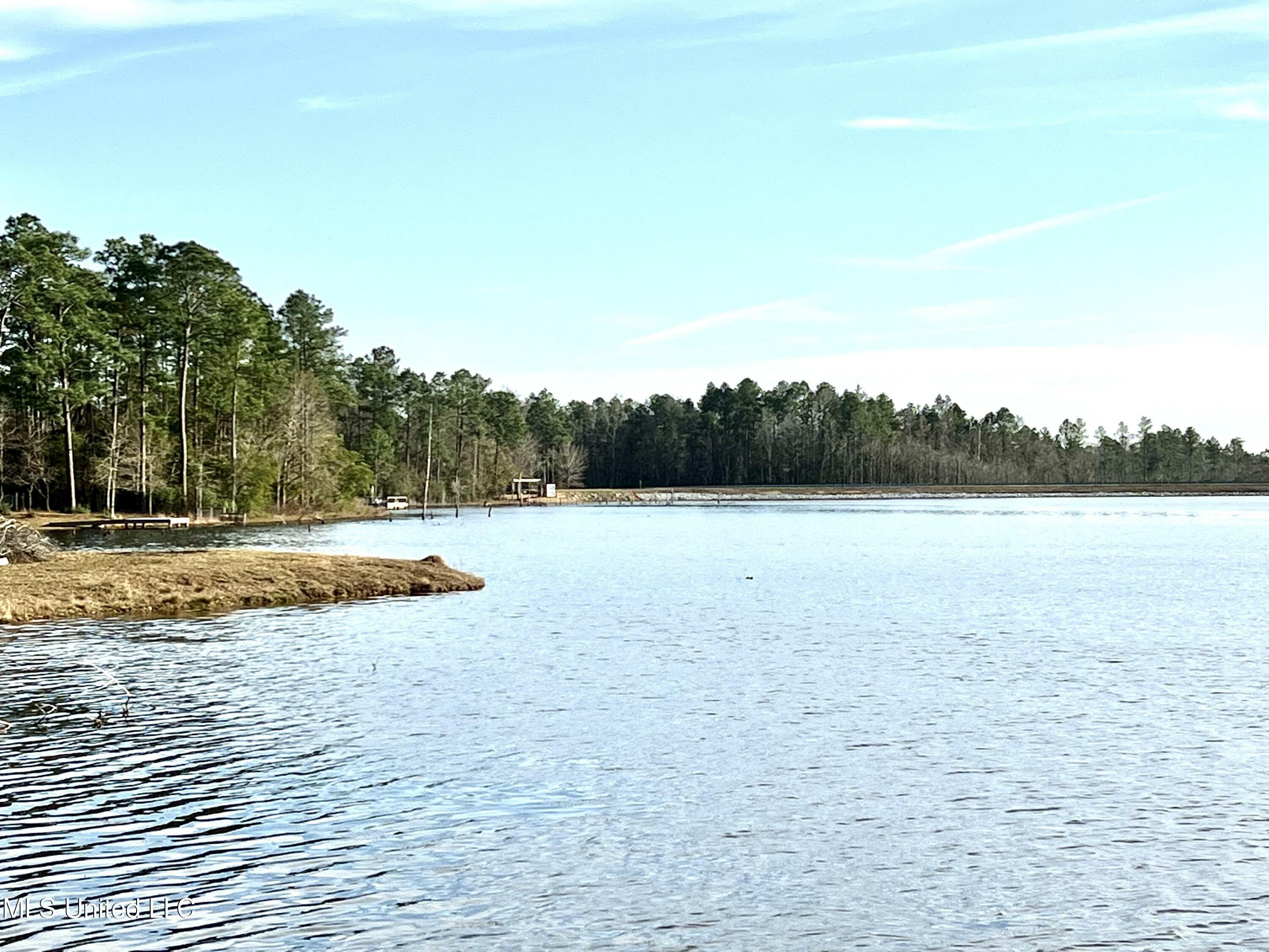 Property Photo: Spring Lake Dr East MS 39565