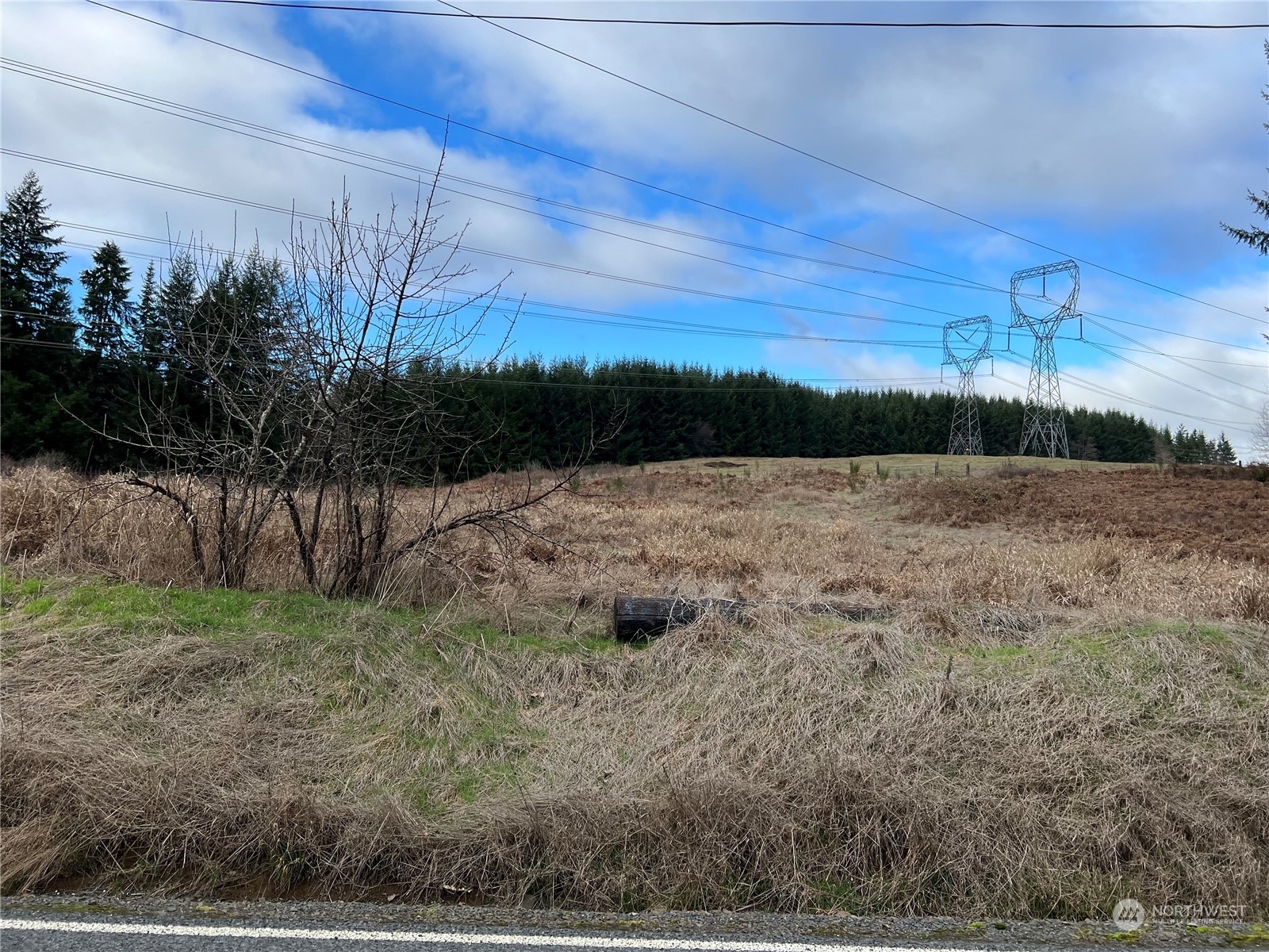 0 Delameter Road  Castle Rock WA 98611 photo