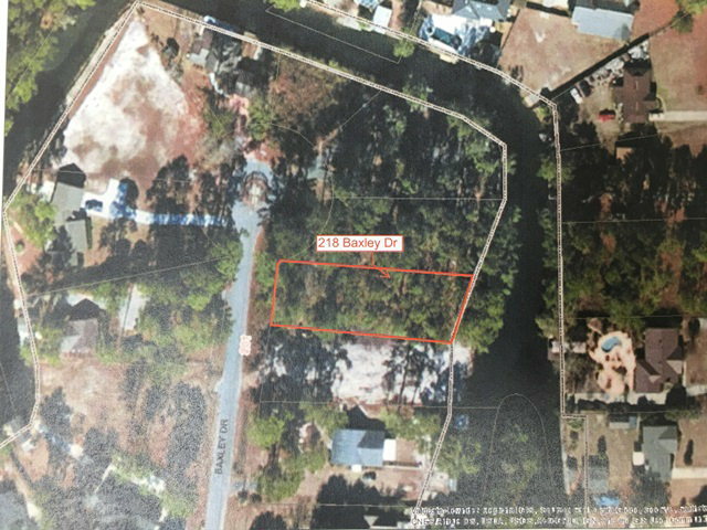 Property Photo: 218 Baxley Drive GA 31636