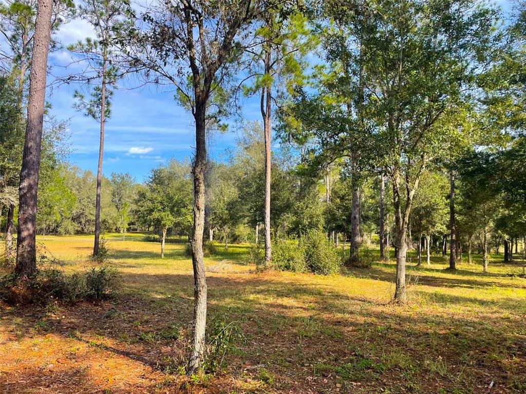 Property Photo:  Falabella Court  FL 34736 