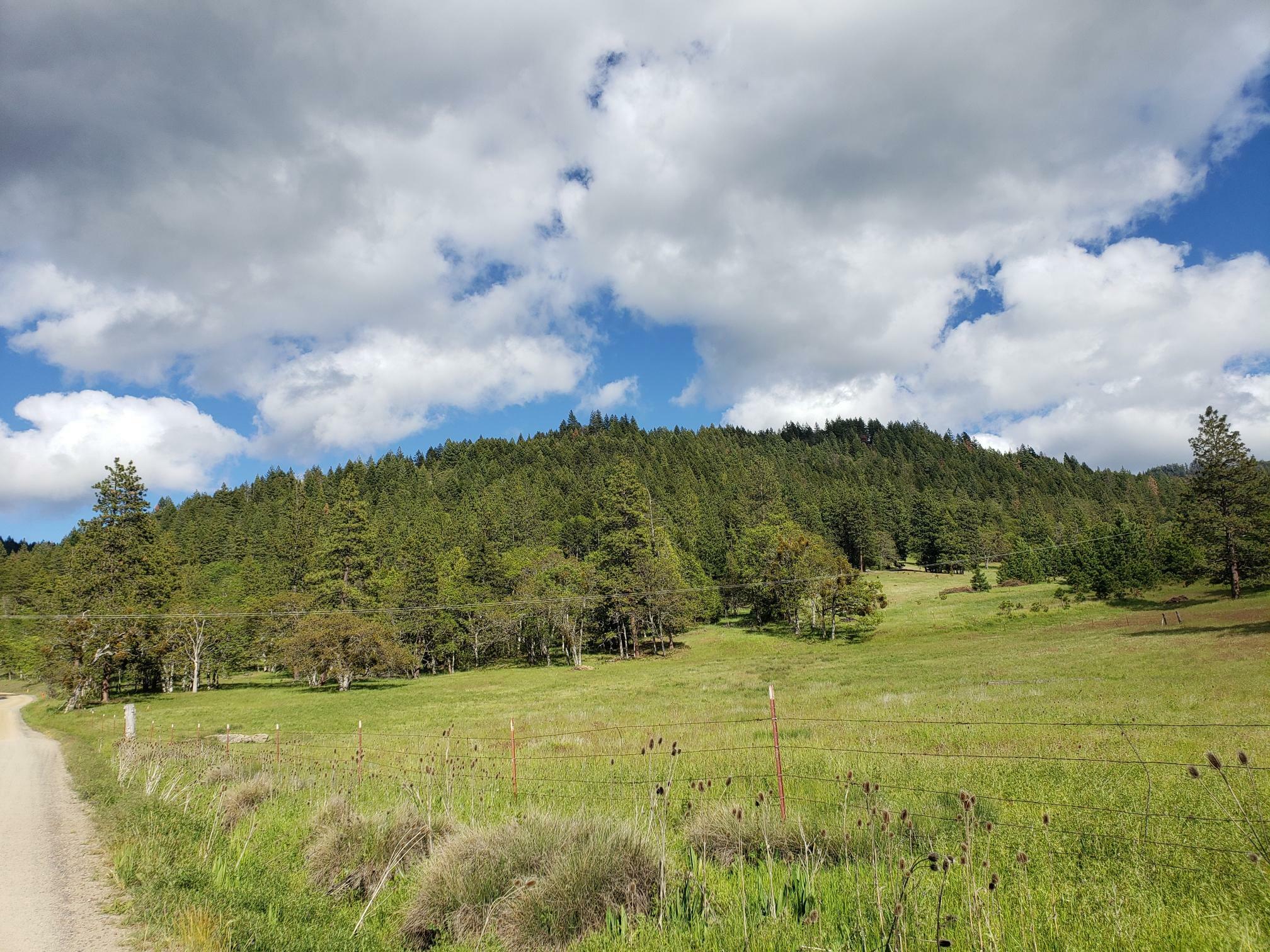 1535 Tyler Creek Road Parcel 1  Ashland OR 97520 photo