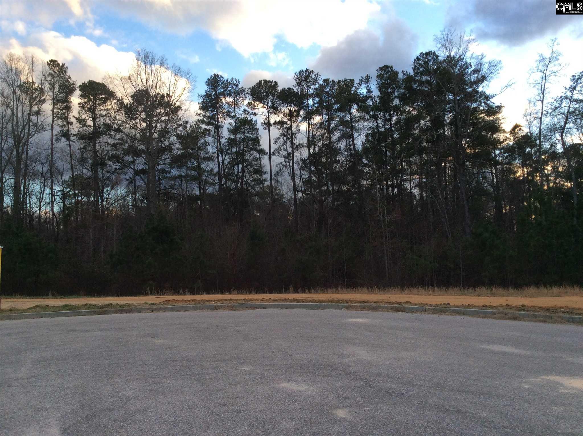 Property Photo: 144 Brookside SC 29072