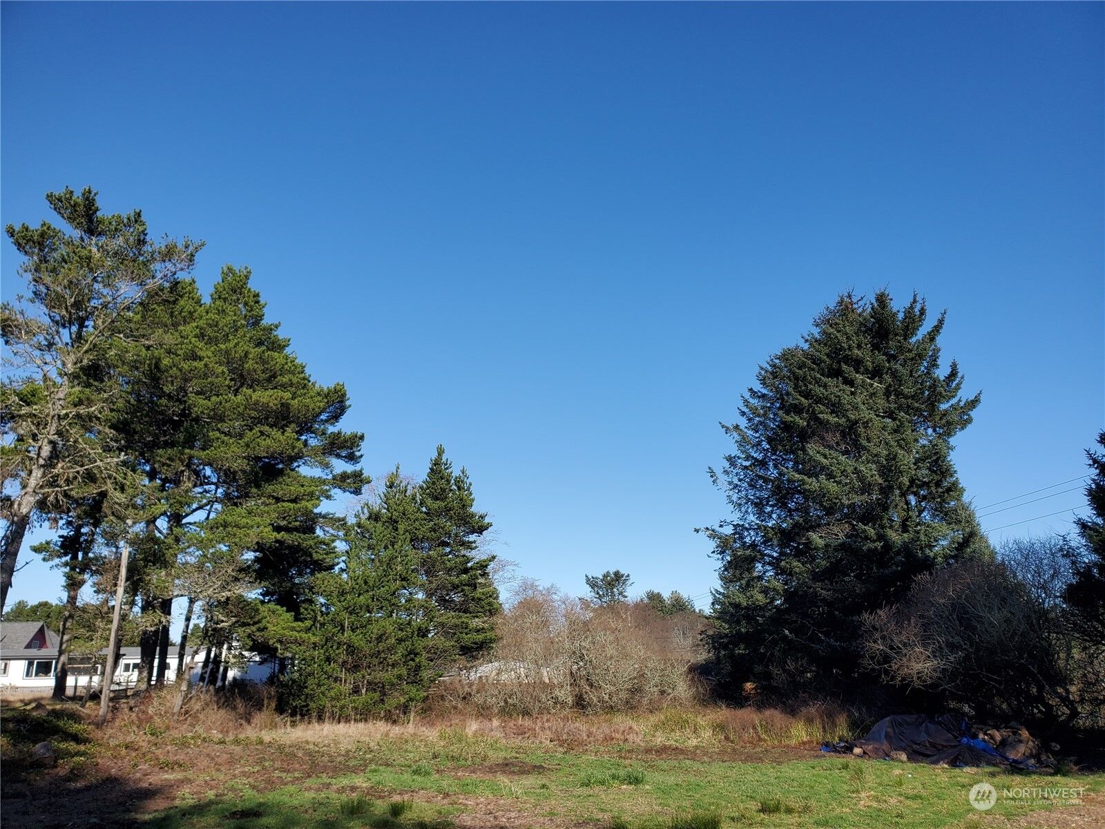 Property Photo:  1410 101st Lane  WA 98631 