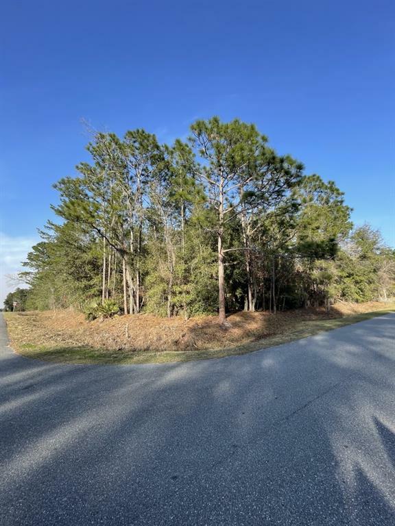 Property Photo:  Lot 241S SW 115th Street  FL 34476 