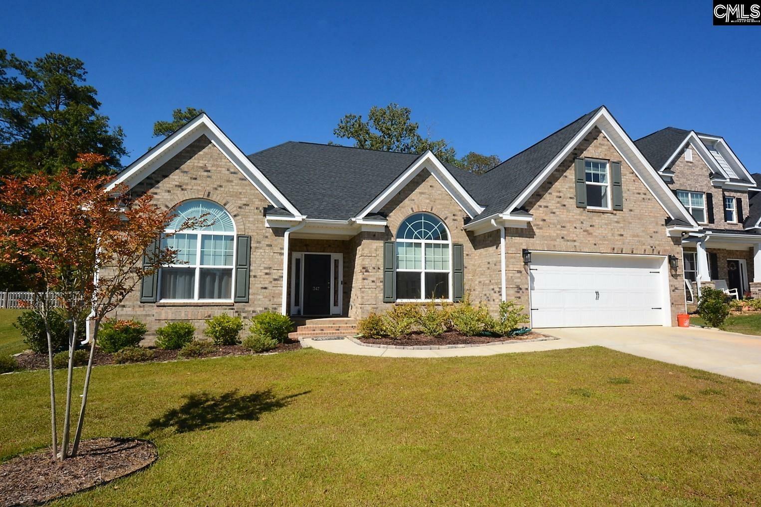 347 Springbrook  Chapin SC 29036 photo