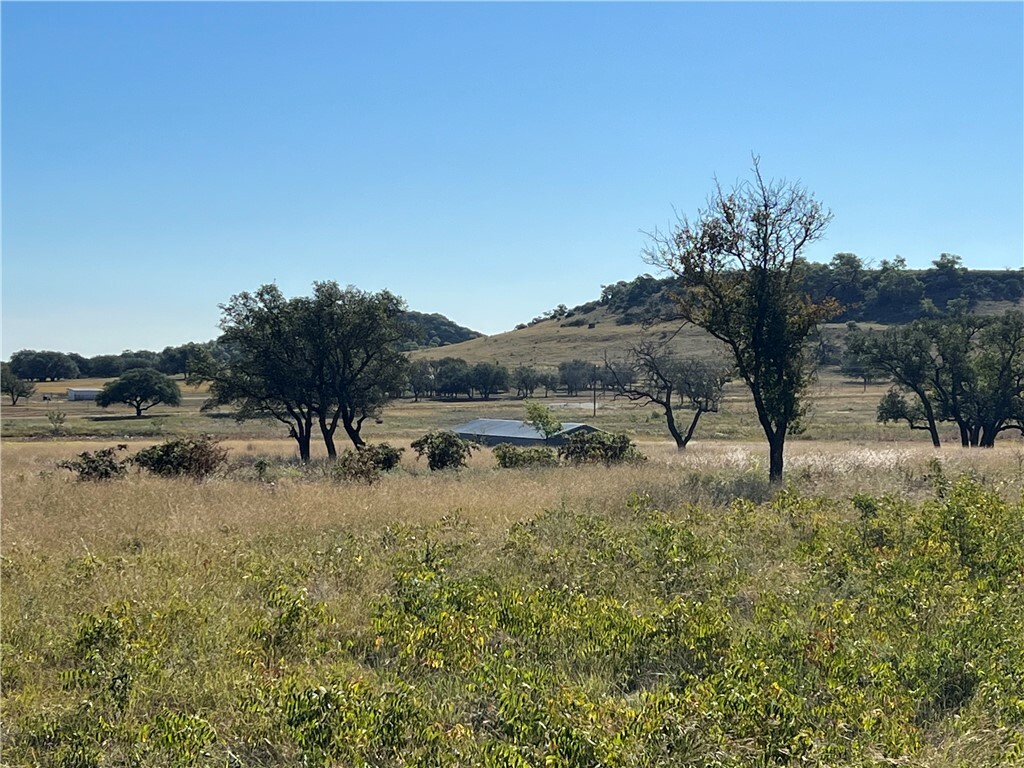 Property Photo:  6300 Farm Road 1690  TX 76528 