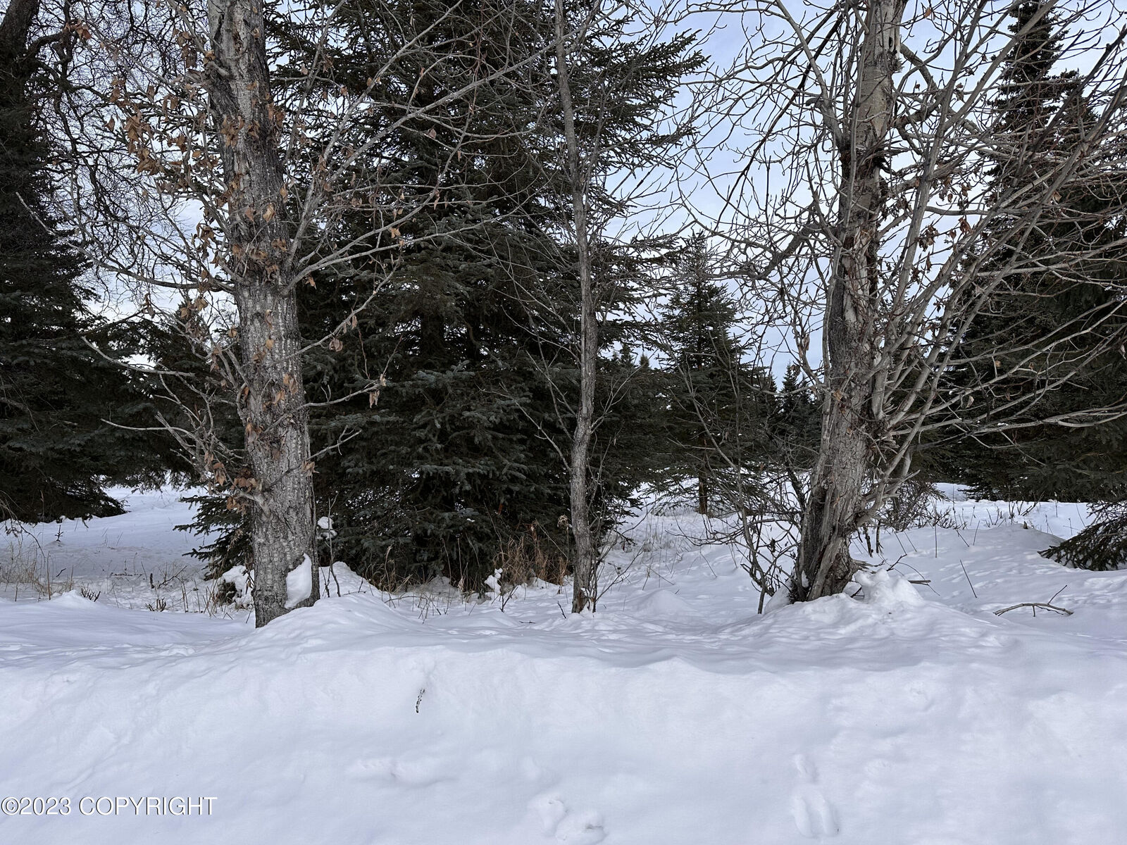 Property Photo: 66160 Bev Avenue AK 99639