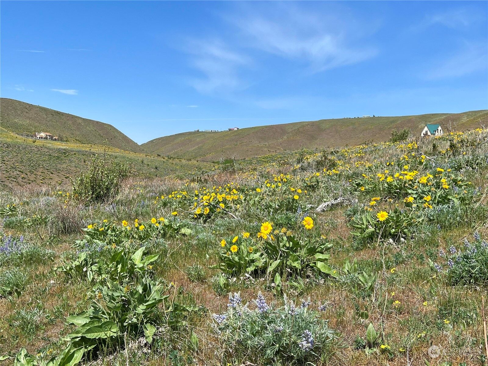 Property Photo: 1 Lot 9 Ellensburg Ranches Road WA 98926