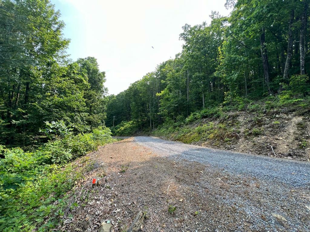 Lot 29 Katy Drive  White Sulphur Springs WV 24986 photo