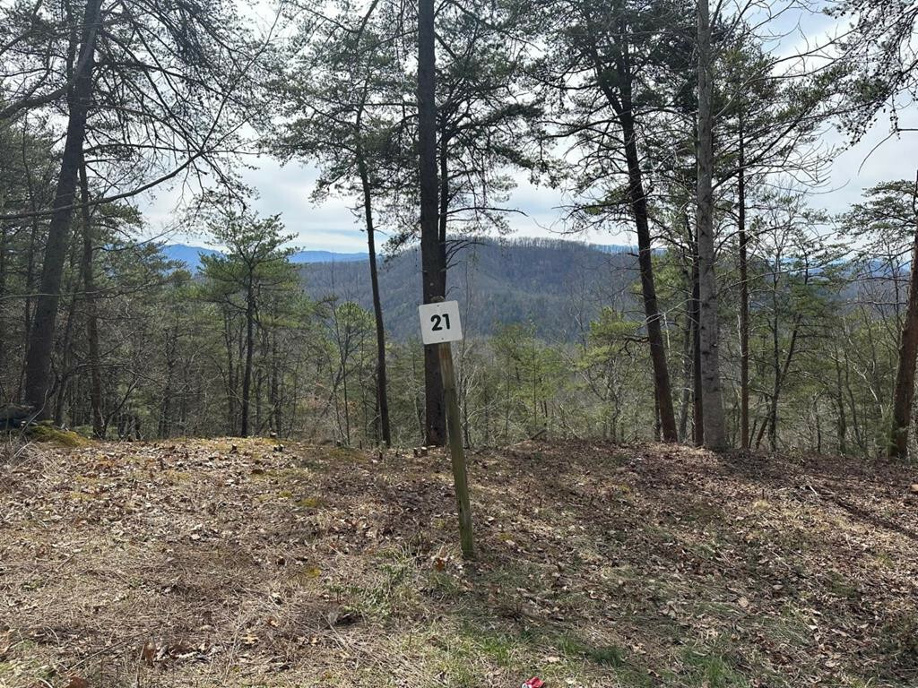 Property Photo:  Lot 21 Lot 21 Overhill Way  TN 37876 