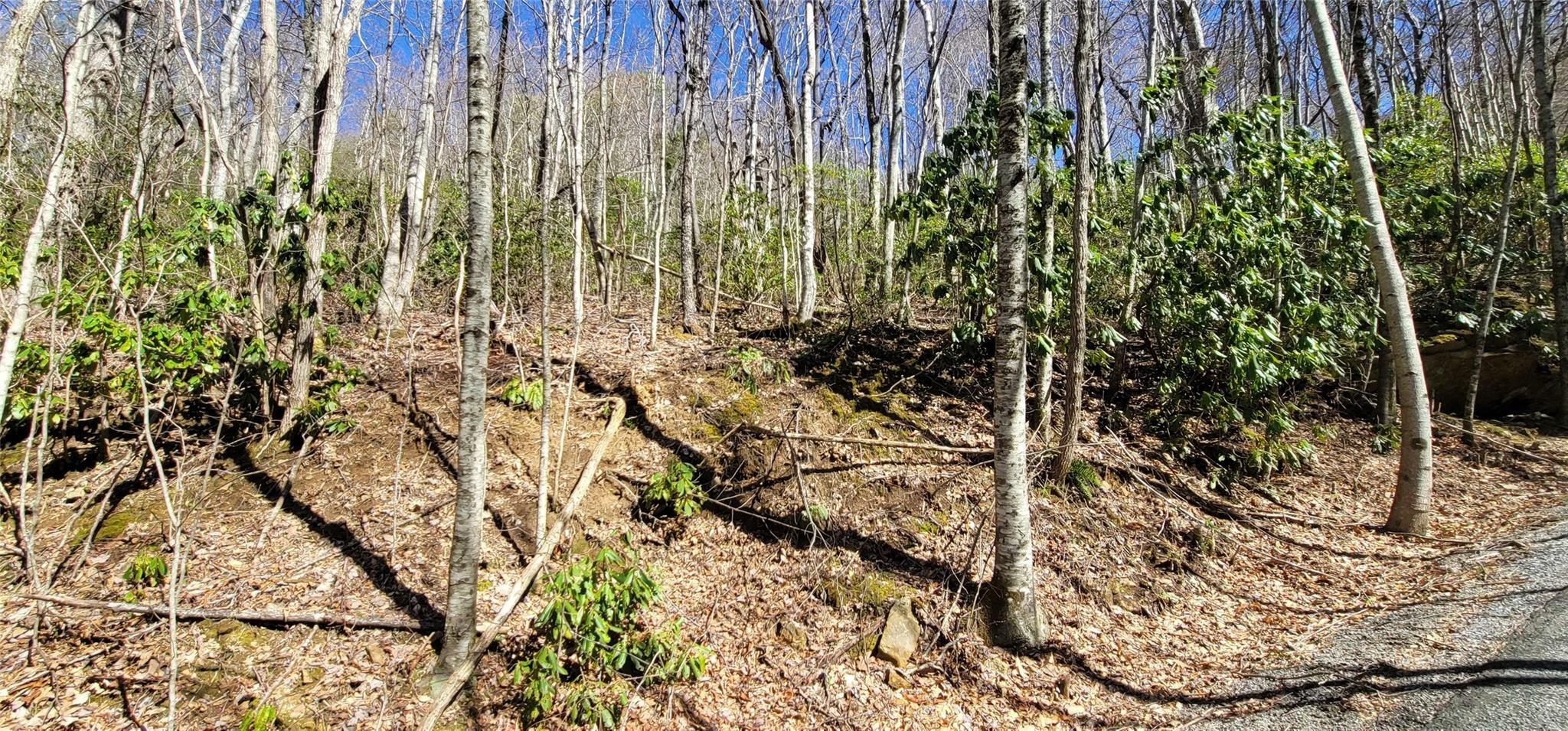 Property Photo: Lot 32 Summit Drive NC 28751