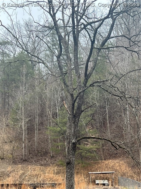 Property Photo: 725 Dry Branch Road WV 25061
