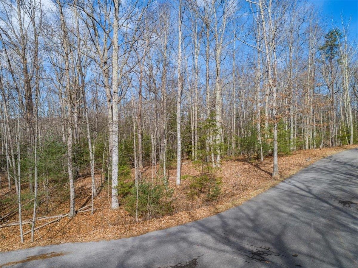 Property Photo:  1258 Treetop Ridge Road  VA 24060 