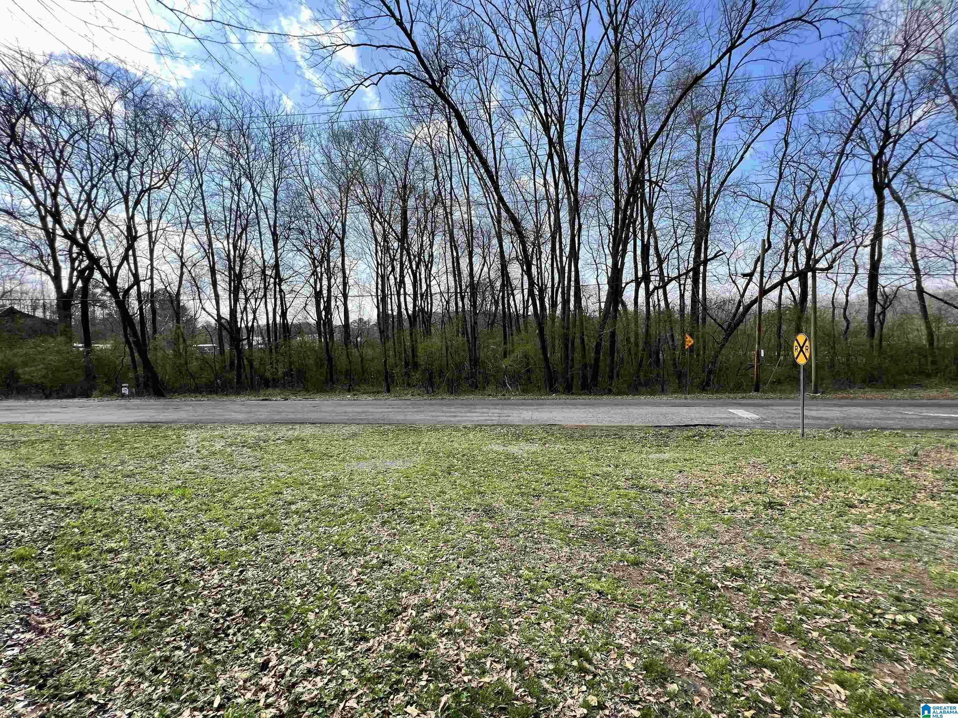 112 Robinson Street .95 Acres  Springville AL 35146 photo