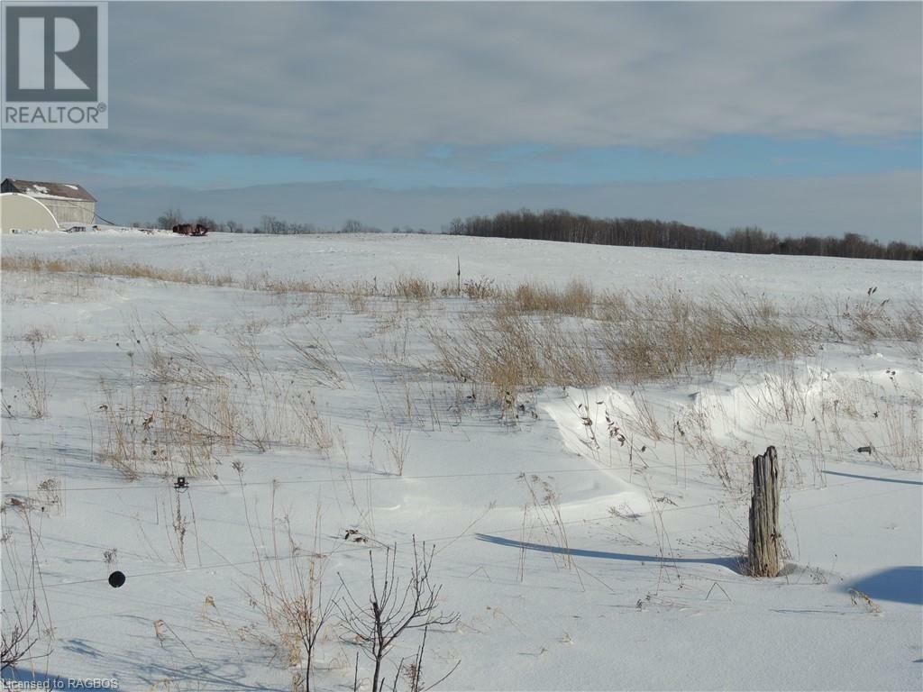 21 Road 55  Grey Highlands ON N0C1M0 photo