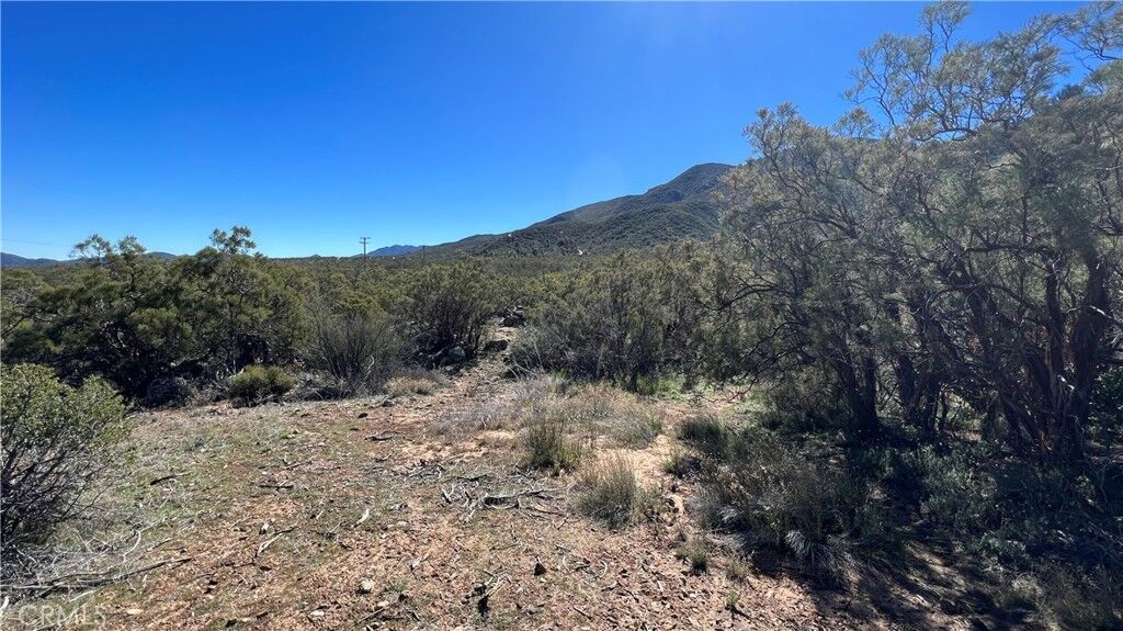 Property Photo:  45101 Chapman Road  CA 92539 