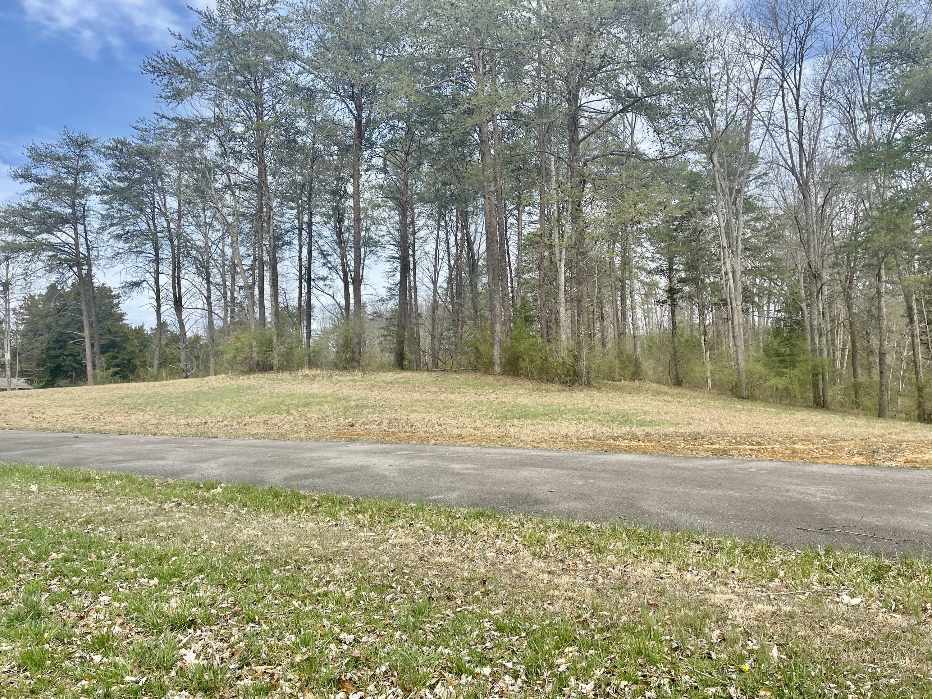 Property Photo:  Lot 53 Anchor Way  KY 42629 