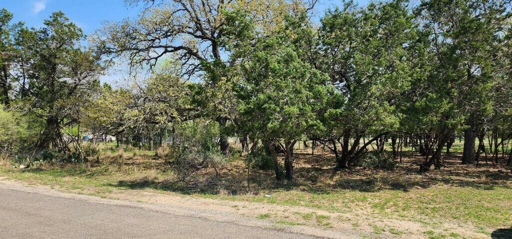 Property Photo: Lot 308 Cypress Lane TX 78657