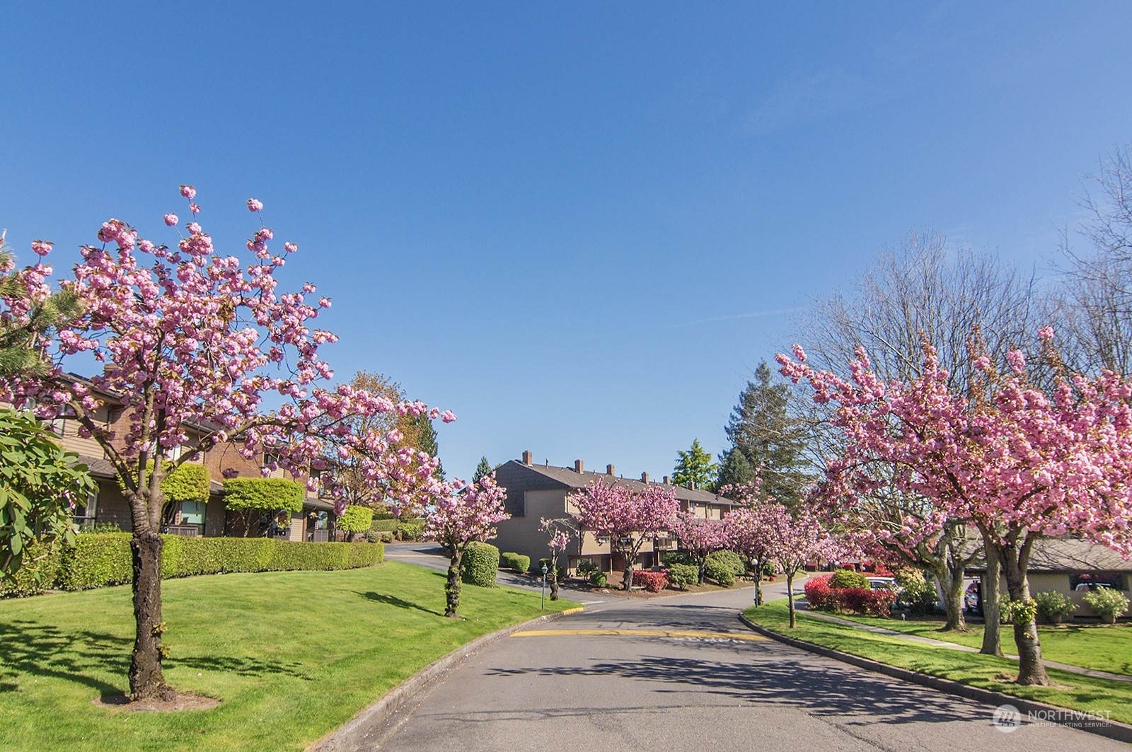 Property Photo:  10704 Glen Acres Drive S  WA 98168 