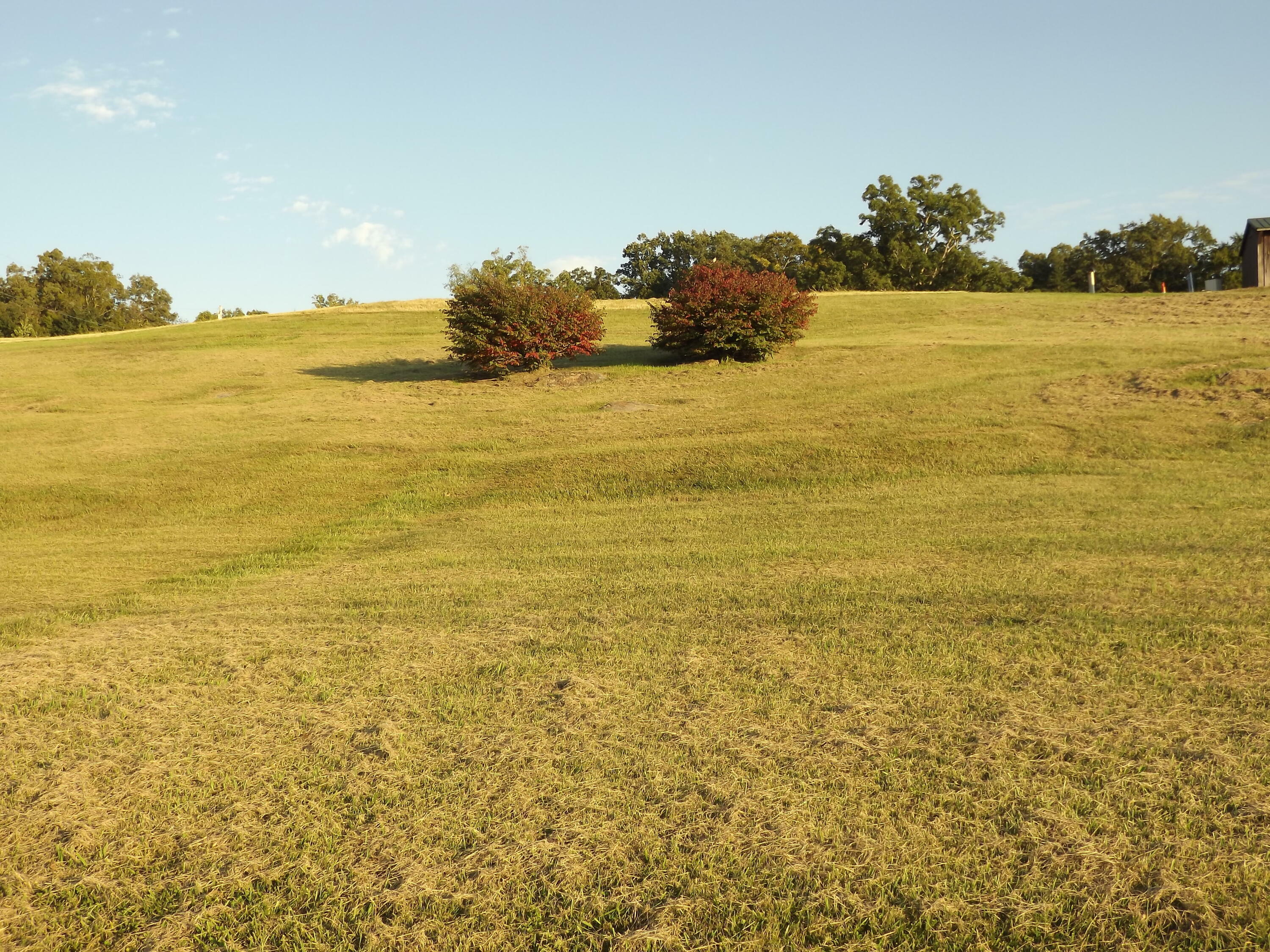 Property Photo:  464 Gray Station Sulphur Springs Road  TN 37659 