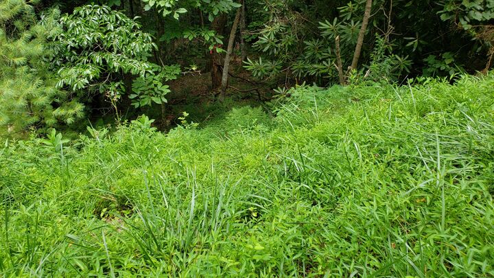 Tbd Browns Ridge Lane  Mountain City TN 37683 photo