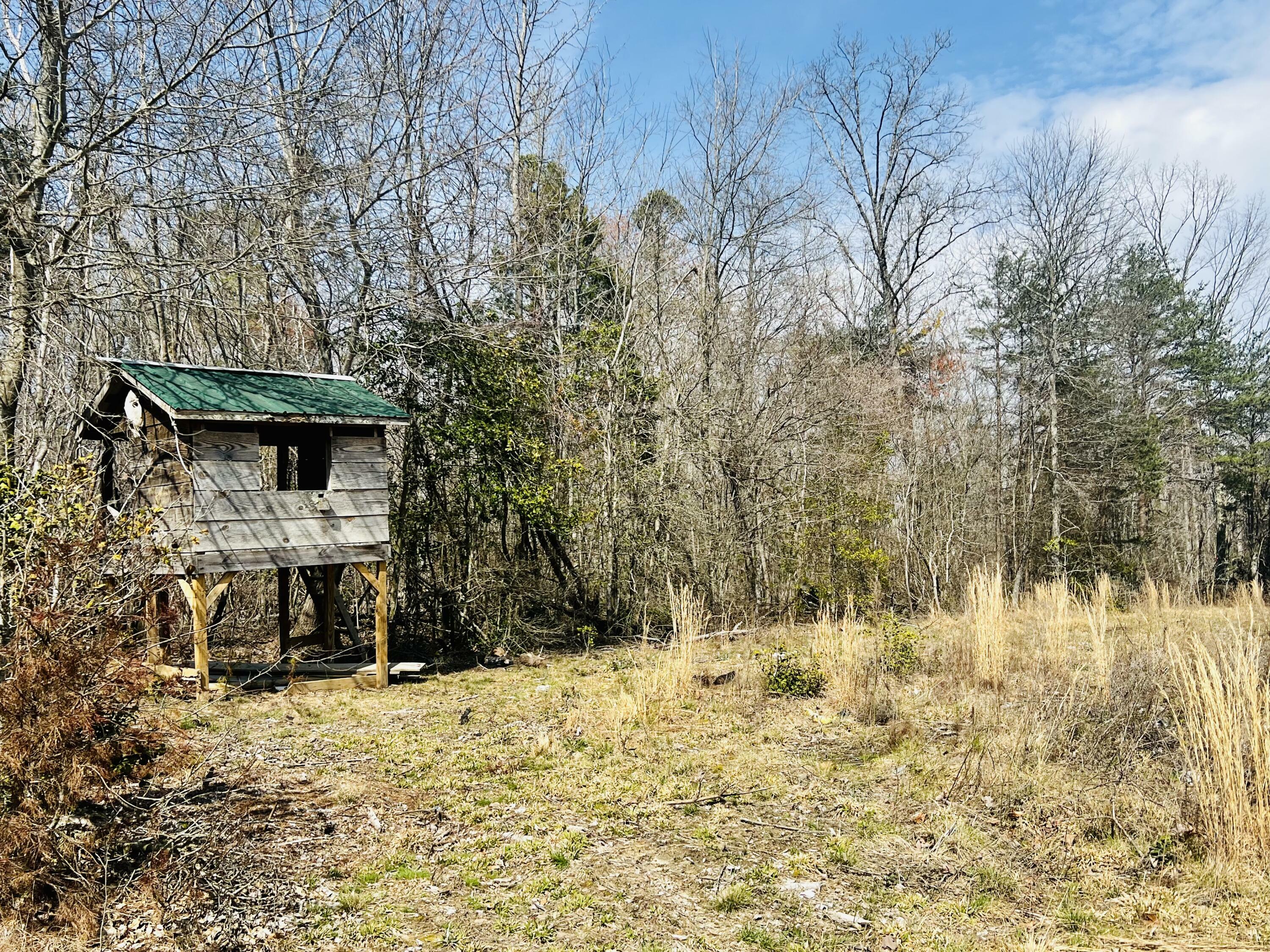 Property Photo:  3106 County Road 131  AL 35958 