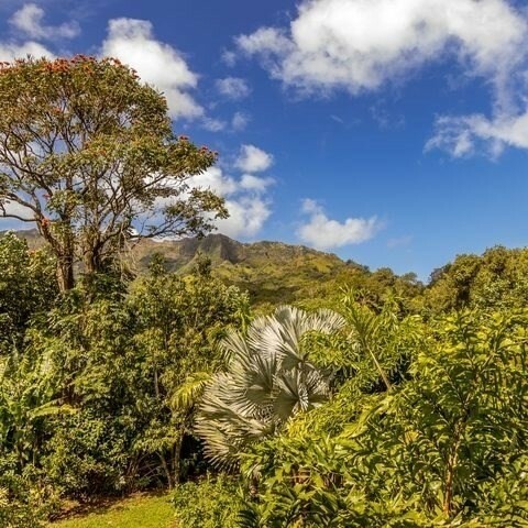 Property Photo:  5-6684 Kuhio Hwy  HI 96722 