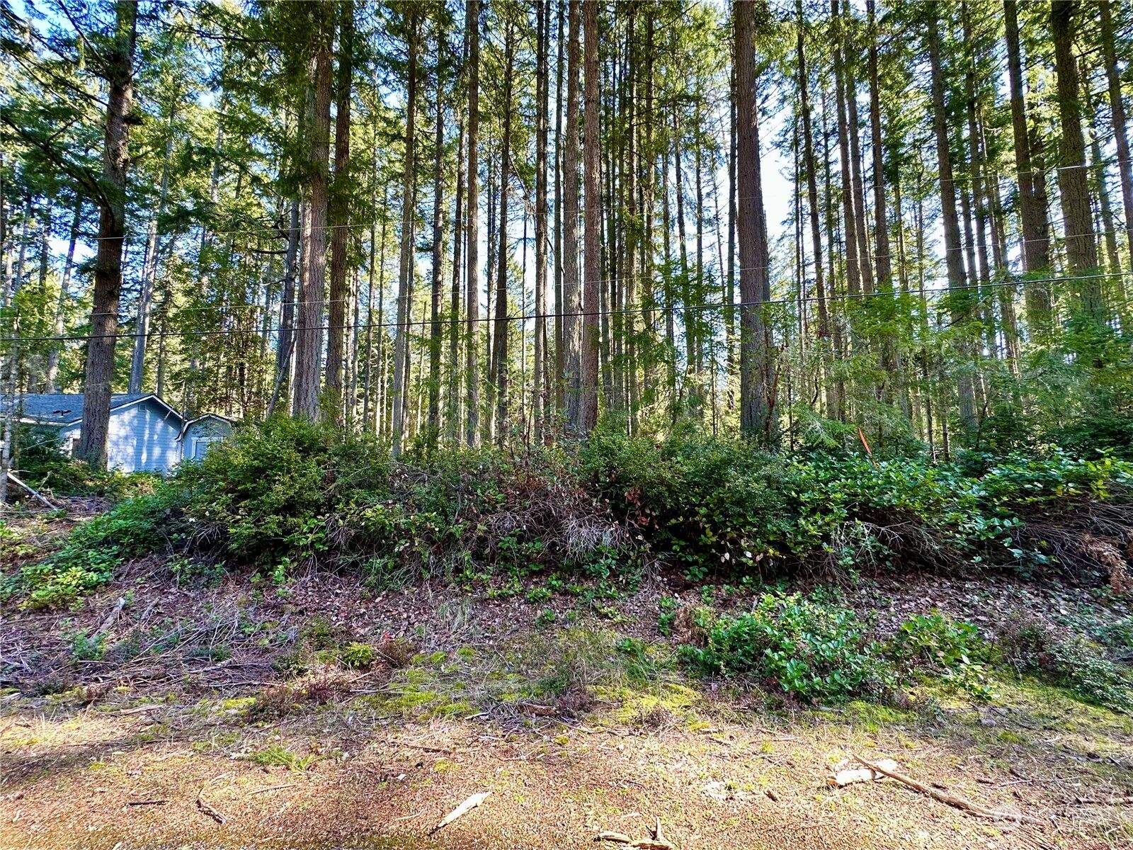 Property Photo:  9209 123rd Avenue  WA 98303 