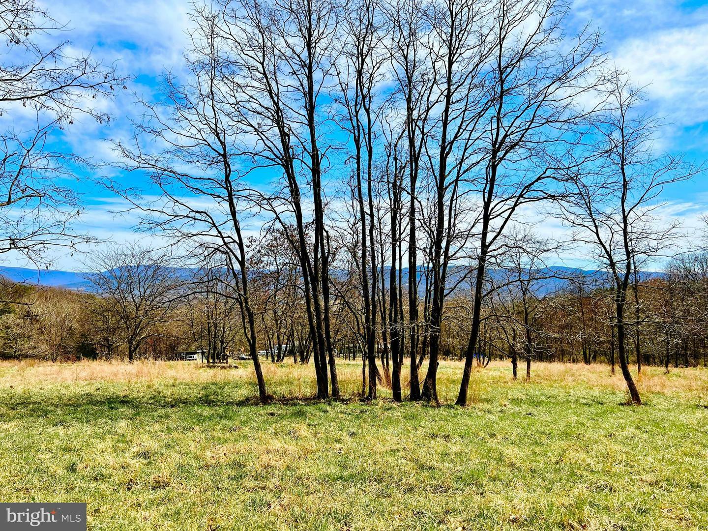 Property Photo:  49 + Acres Sunnyside Road  VA 22849 