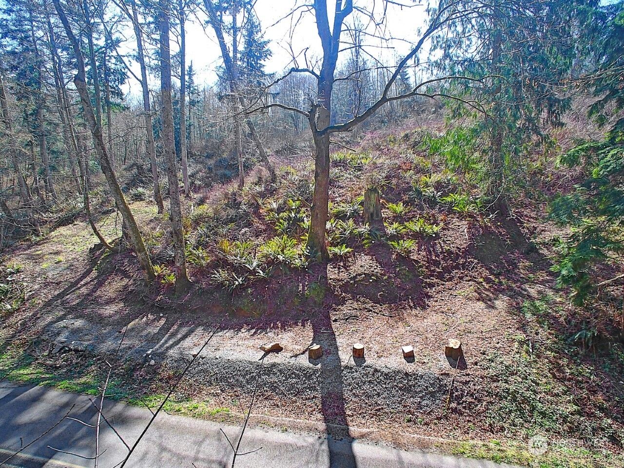 Property Photo:  580 Carp Lake Road  WA 98282 