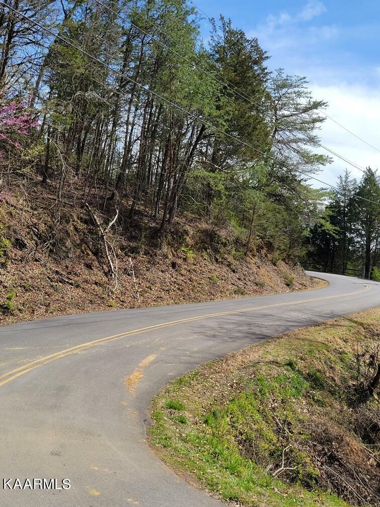 Property Photo: Lake Front Drive TN 37725