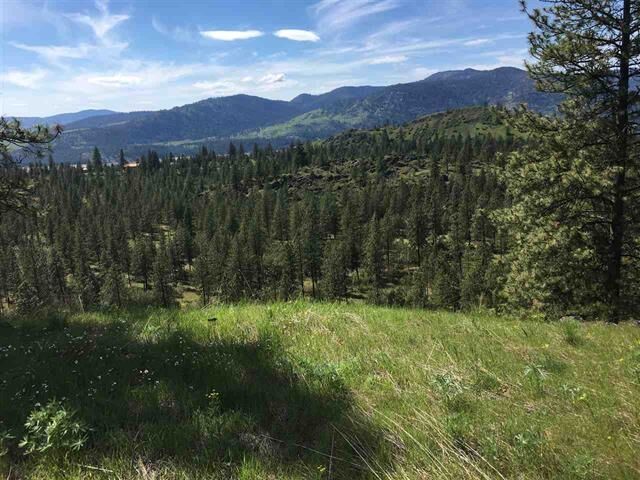 MLS202312980 Lot Dd Hwy 25 Hwy, Hunters, WA 99137