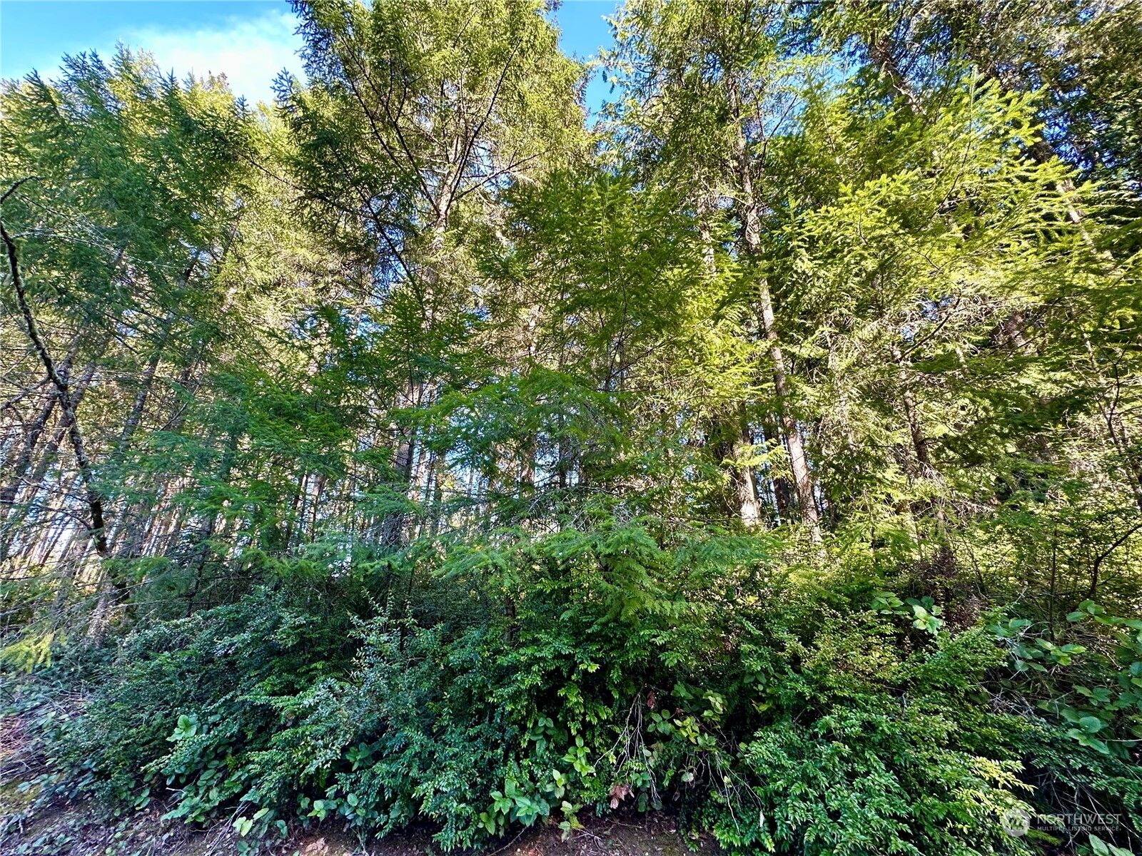 Property Photo:  8911 126th Avenue Ct  WA 98303 