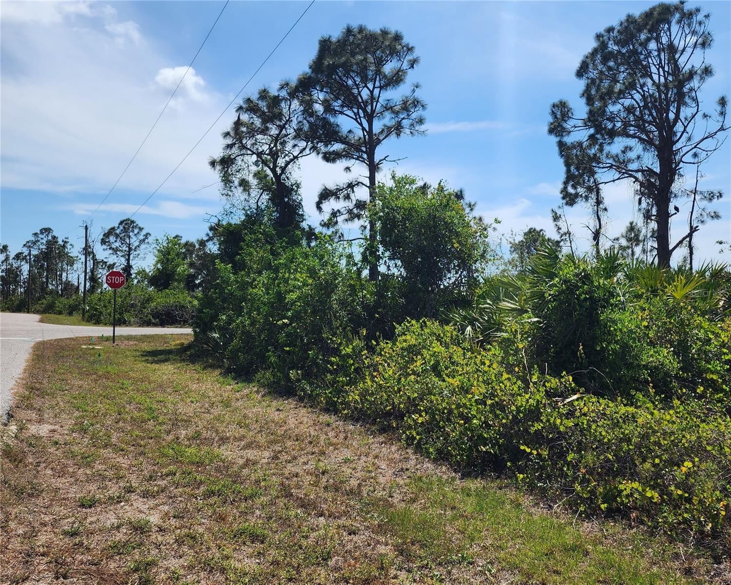 Property Photo:  12282 Appleberg Circle  FL 33981 