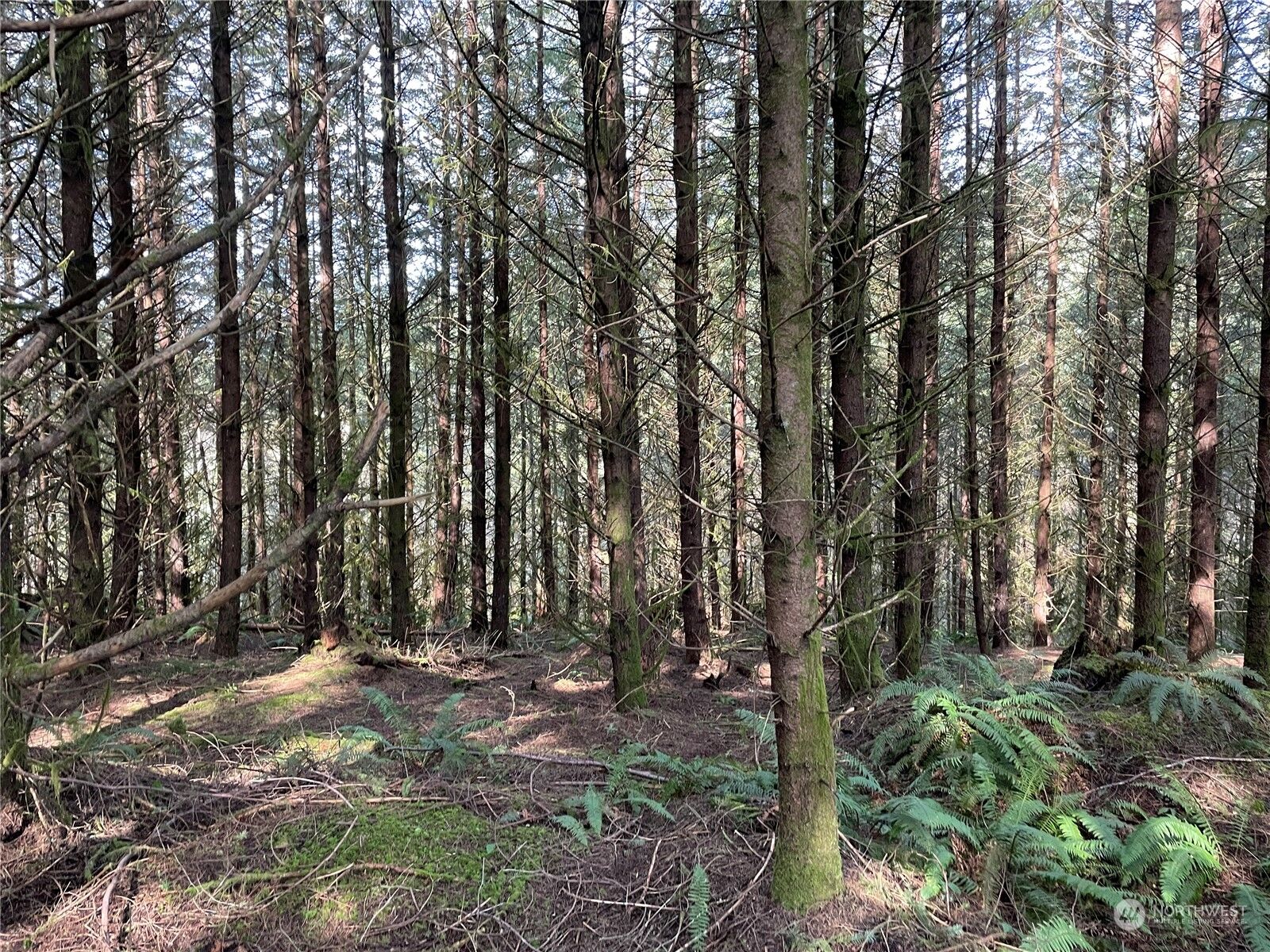 Property Photo: 0 Nikula Road WA 98596